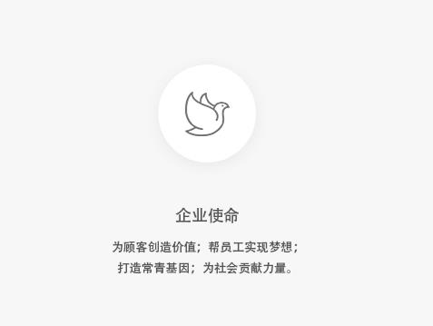企业使命